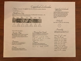 A sheet of paper titled Copperhead Lesbisnakes that includes various stats and details on the character in A Cozy Den.