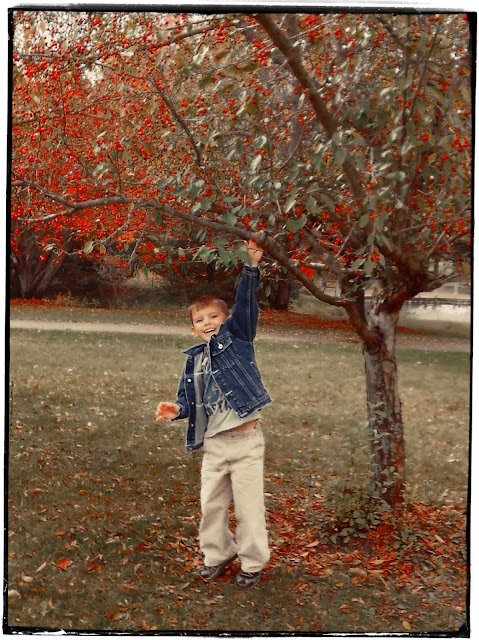 autumn, family