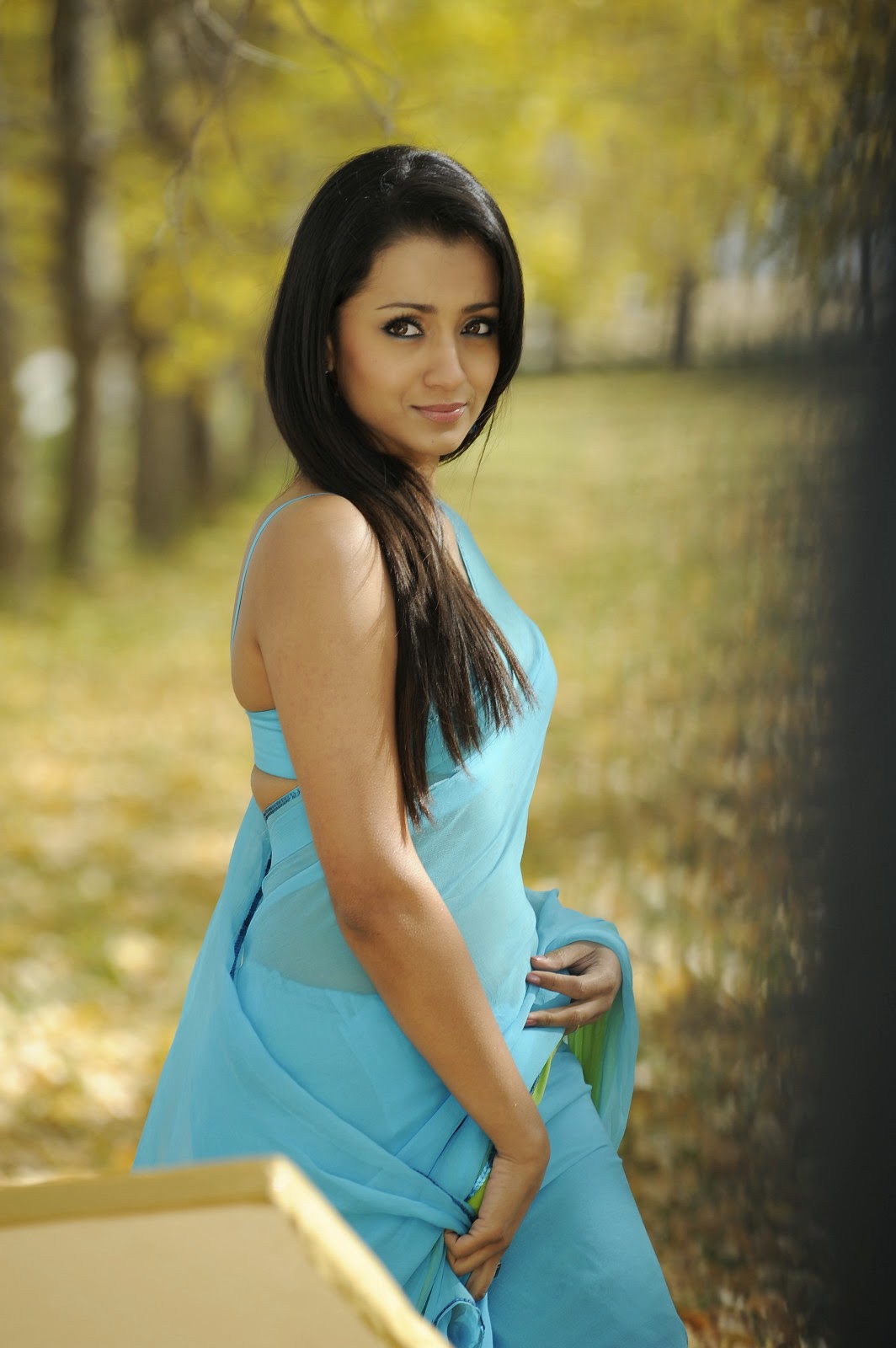 Trisha Krishnan Blue Transparent Saree Pics  Trisha Hot 