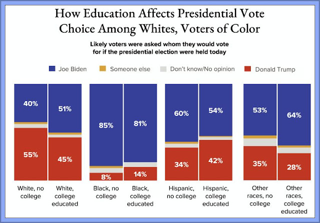 Education Influences Voting Patterns In USA