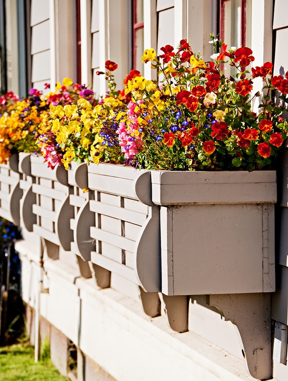 flowerbox