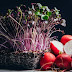 Rambo Radish