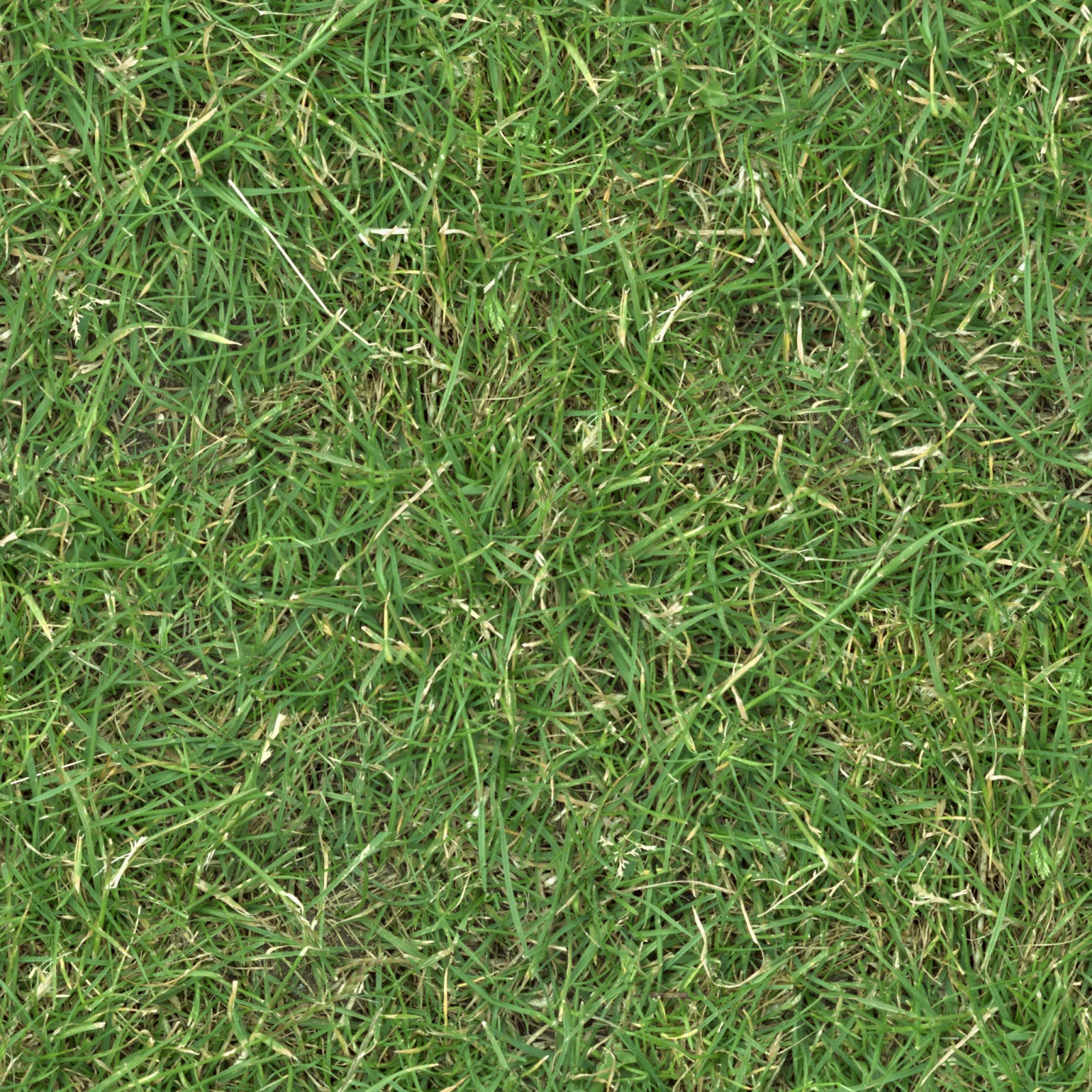 HIGH RESOLUTION TEXTURES: Grass turf lawn green ground field seamless