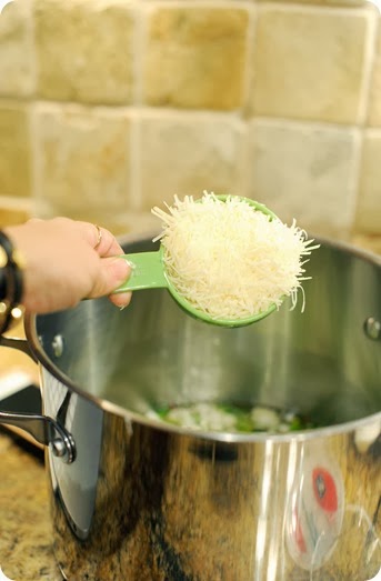 chixparmsoup3