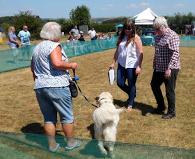 Jerry Green Dog Rescue Centre Great North Lincs Summer Show 2018 - fifth picture on Nigel Fisher's Brigg Blog