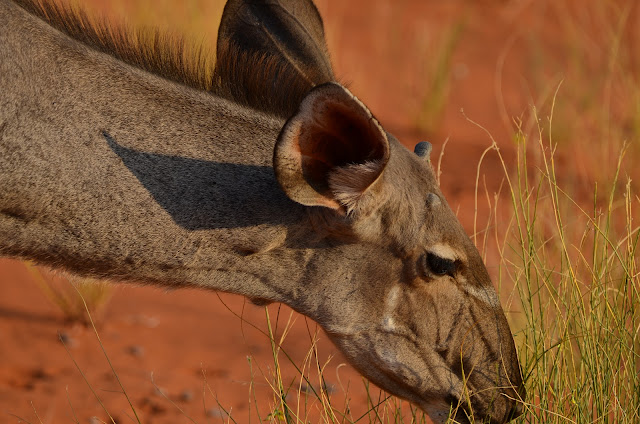 Namibia