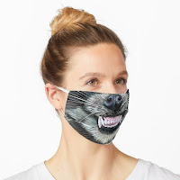  Link to Raccoon Face Mask