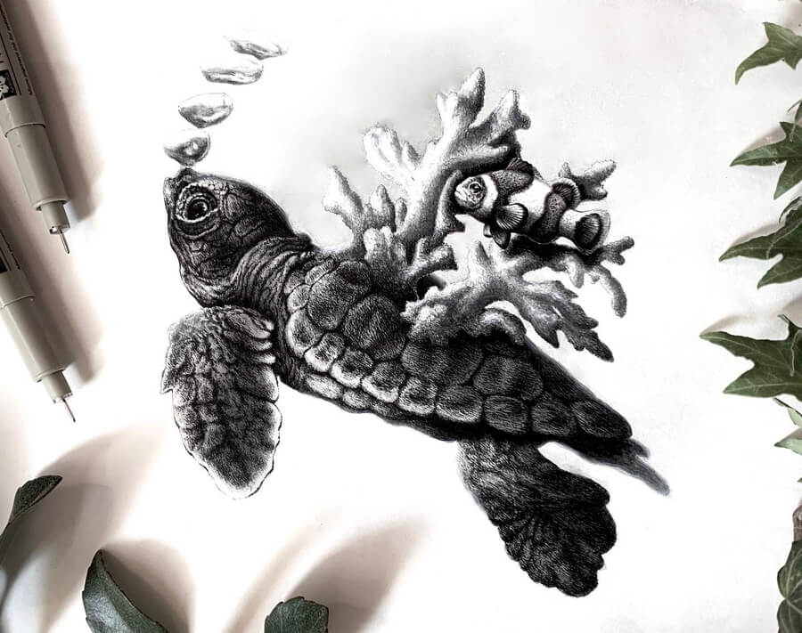 06-Baby-sea-turtle-Animal-Drawings-Alyse-Dietel-www-designstack-co