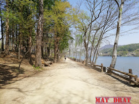 Percutian Bajet Seoul Nami Island 