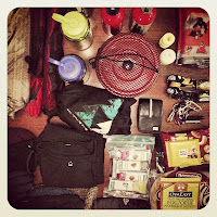 A few of the things I packed for our winter overnighter on the Forbidden Plateau