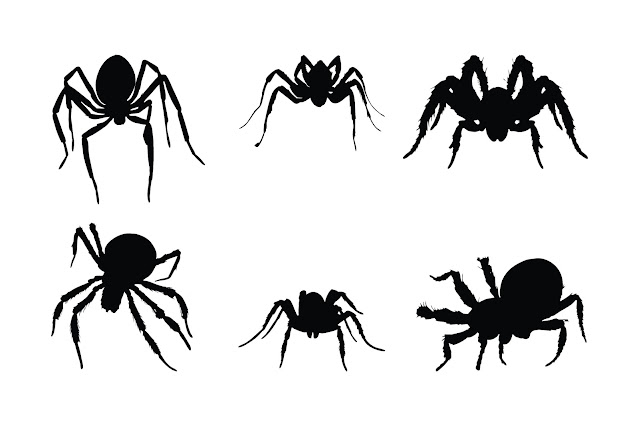 Spider full body silhouette collection free download