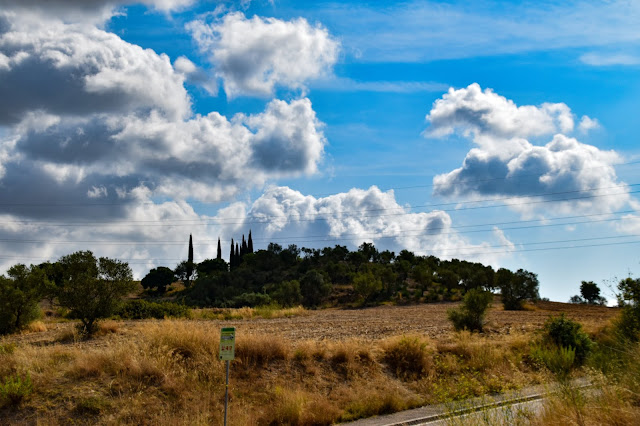 Parque de Can Oriol...(Rubí, Barcelona, Catalunya, España)