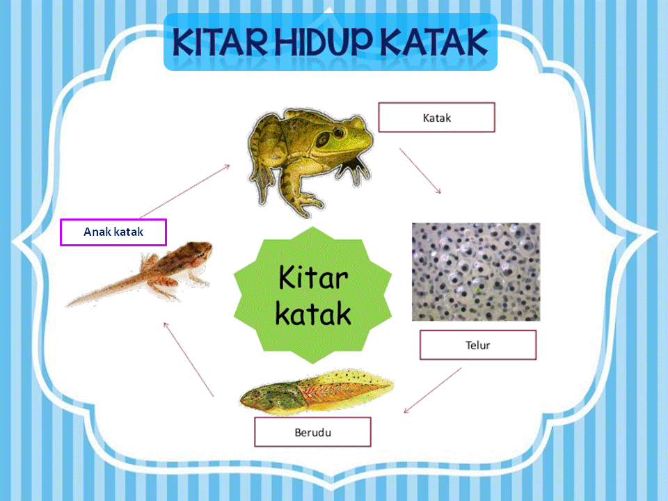 Dunia Sains dan Teknologi (Belajar dengan Ceria): DST 