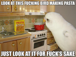 look at this bird making pasta