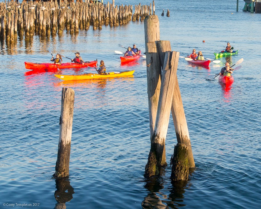 Portland, Maine USA October 2017 photo by Corey Templeton. Kayakers paddling around the old pilings off of the Eastern Waterfront.
