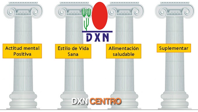 ¿QUE es el ganoterapia DXN?