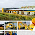 Lorries DHL participate in Formula 1
