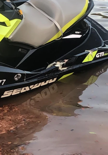 Jet ski das jovens foi atingido por outra moto aquática em Candeias, RO