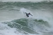 surf30 ct wsl meo rip curl portugal 2023 Barron Mamiya 23Peniche  QUA0473 Damien Poullenot