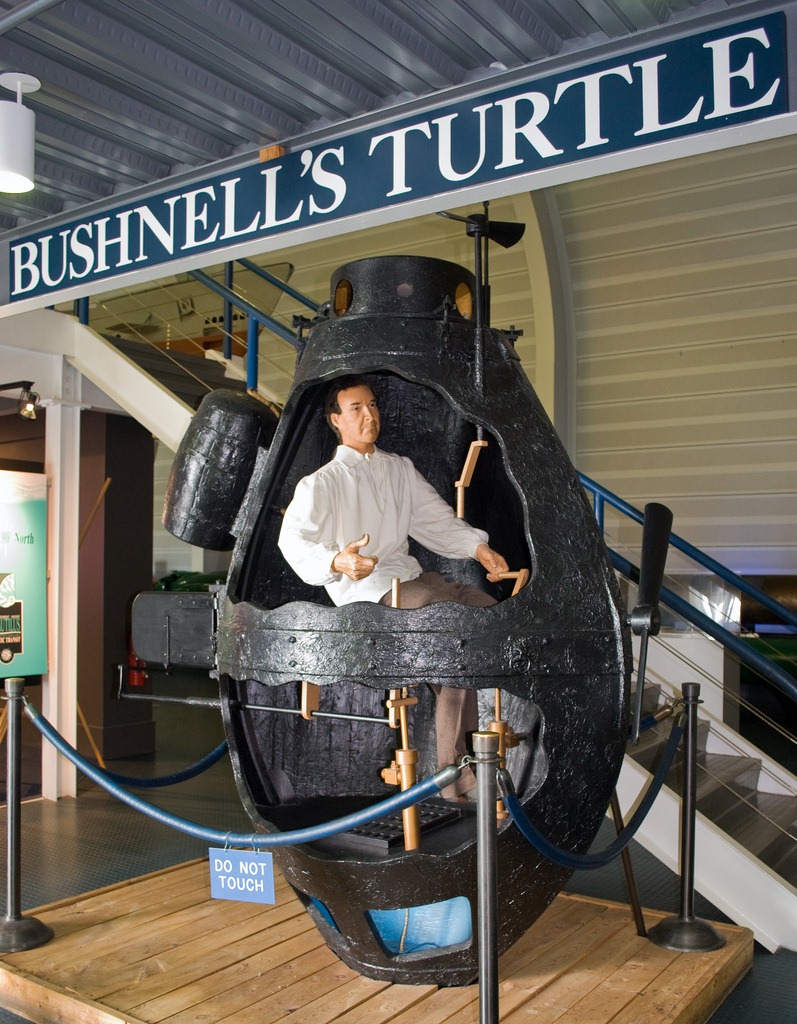 bushnell-turtle-5