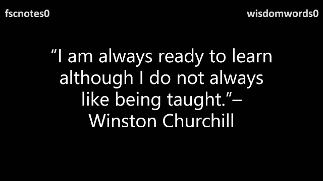 20. “I am always ready to learn although I do not always like being taught.”– Winston Churchill