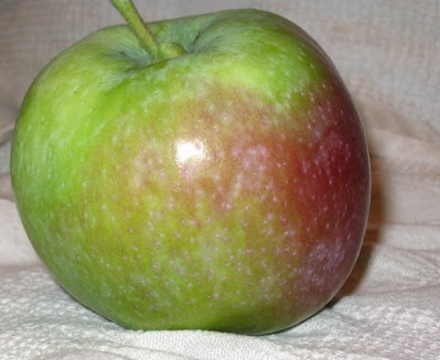 A glossy green apple with partial red blush