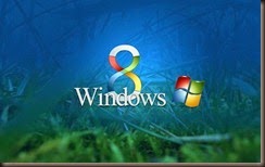 Win 8