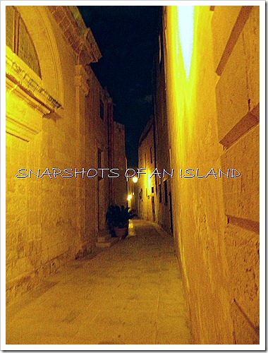 Christmas Concert in Mdina (22)