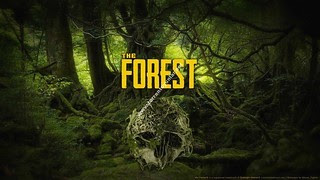 Affiche du jeu The Forest