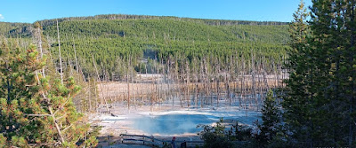 Yellowstone, Norris Geyser Basin, Back Basin, Cistern Spring.