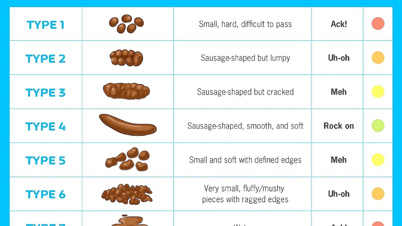 Daily Bowel Movement Chart