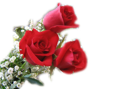 valentines day roses by cool wallpapers at cool wallpapers