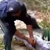 Man Cuts Open Giant  Snake's. You  Won't Believe This [See Photos] For Your Self, A Snake swollened A Giant Reptile