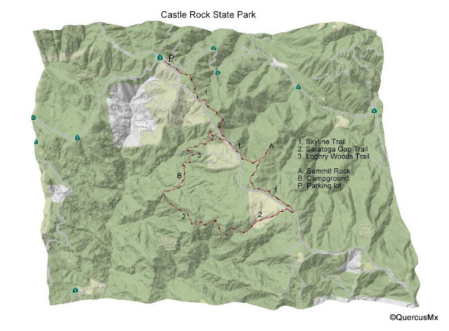 Map of hikes in Castle Rock State Park
