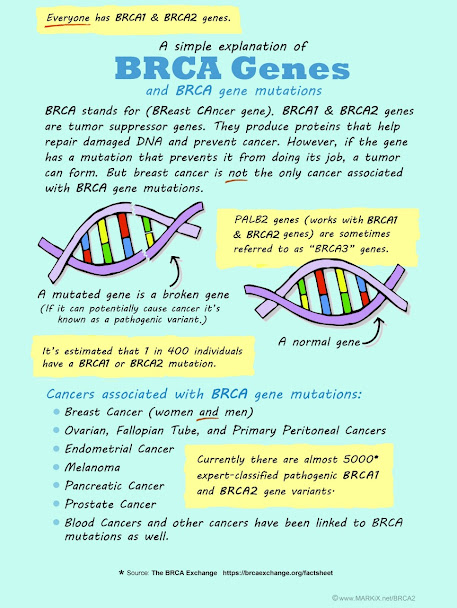 A Simple Explanation of BRCA Genes