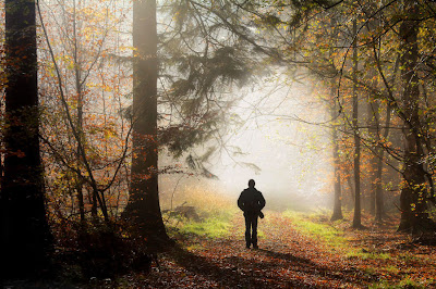 Guiado por la luz - Guided by the light