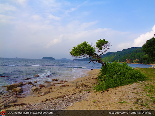 Chapel Point Beach Trincomalee