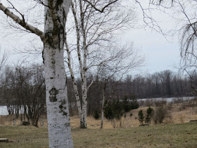 Vogel Lake Mason County Michigan