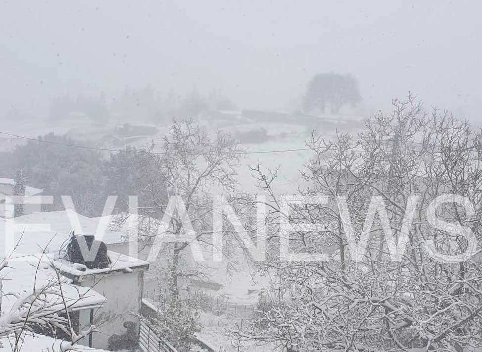 Οδοιπορικό στις χιονισμένες περιοχές της Εύβοιας - Που δεν έχει ρεύμα;