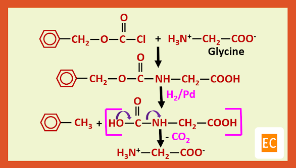 carbobenzoxy protection