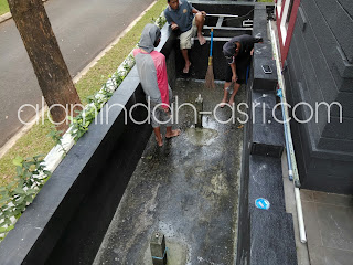 tukang kolam koi