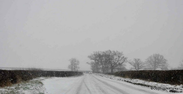 Snowy Road