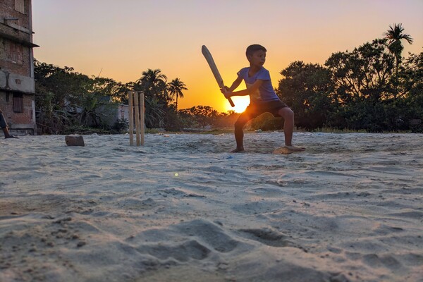 Playing Cricket