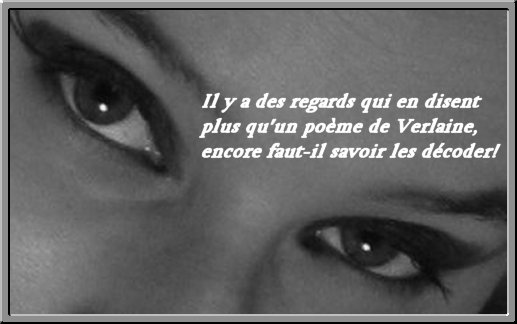 Phrase drÃ´le - citation drÃ´le