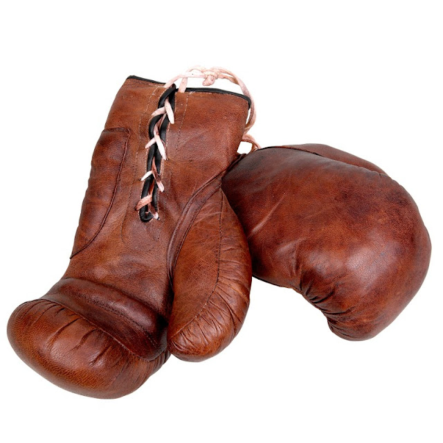 leather boxing gloves