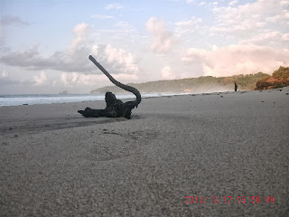 Keindahan Pantai Kunir