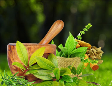 Ayurveda and Sexology Clinic in Delhi   