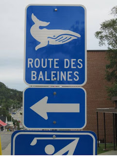 Route Des Baleines