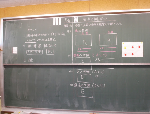 発芽する時に、必要な条件は何か観察しよう。