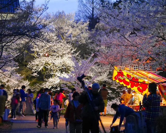 上田城跡公園の桜まつり